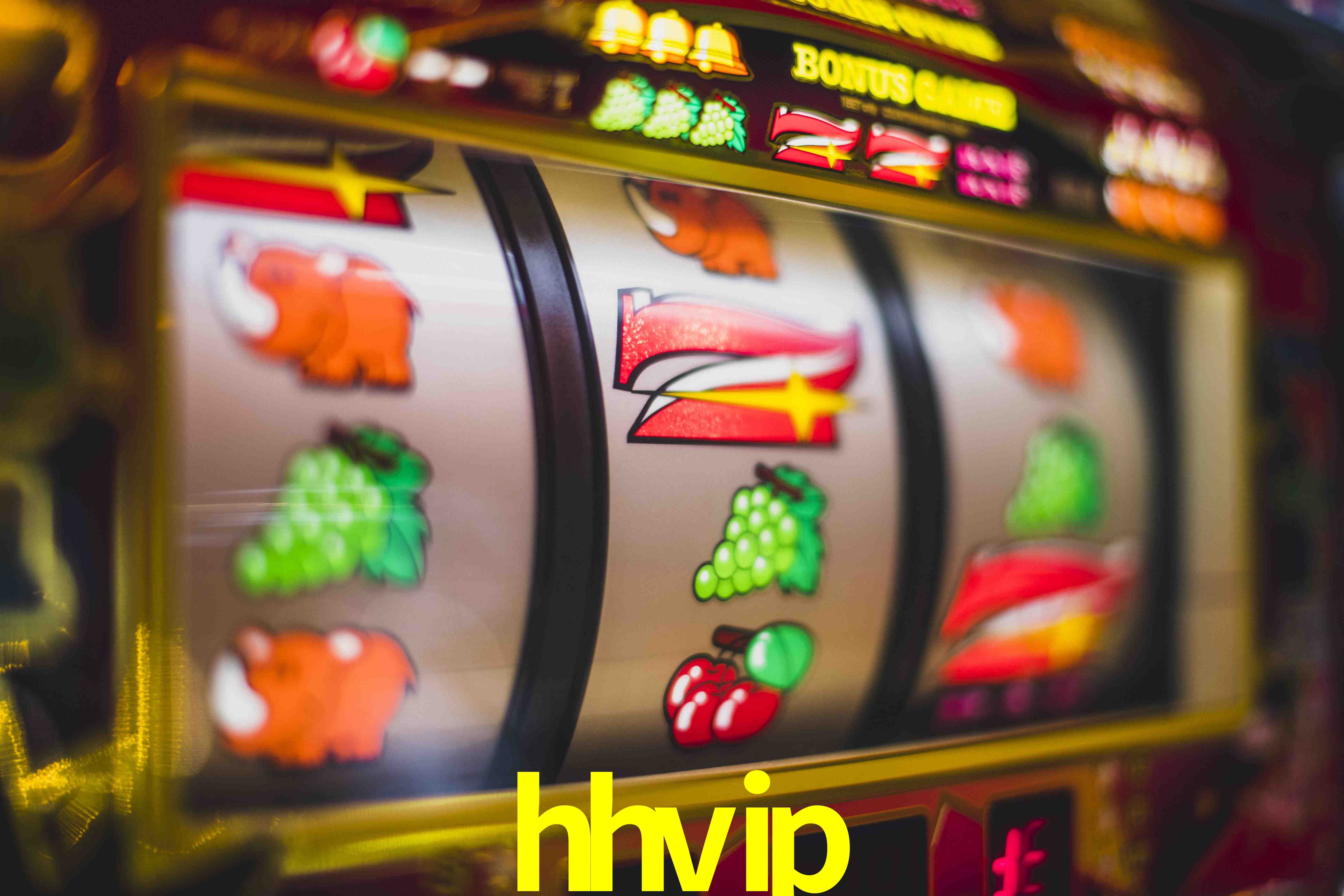 Experiência VIP hhvip